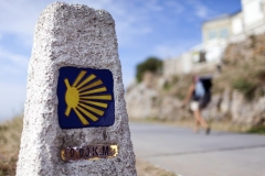 Camino de Santiago (norte)