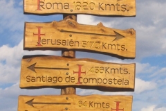 Camino de Santiago (norte)